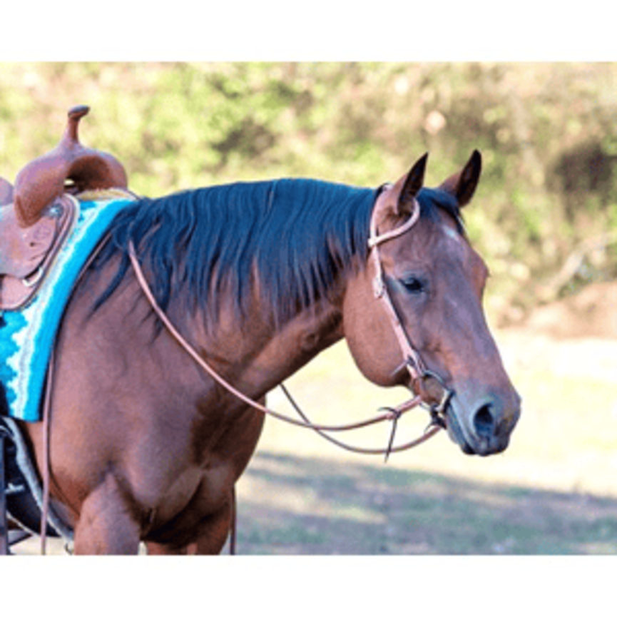 5/8" One Ear Headstall with Tie Ends