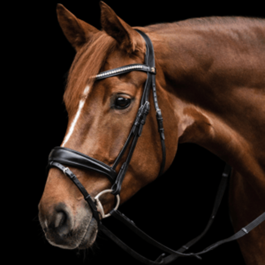 S-Line Essential Bridle