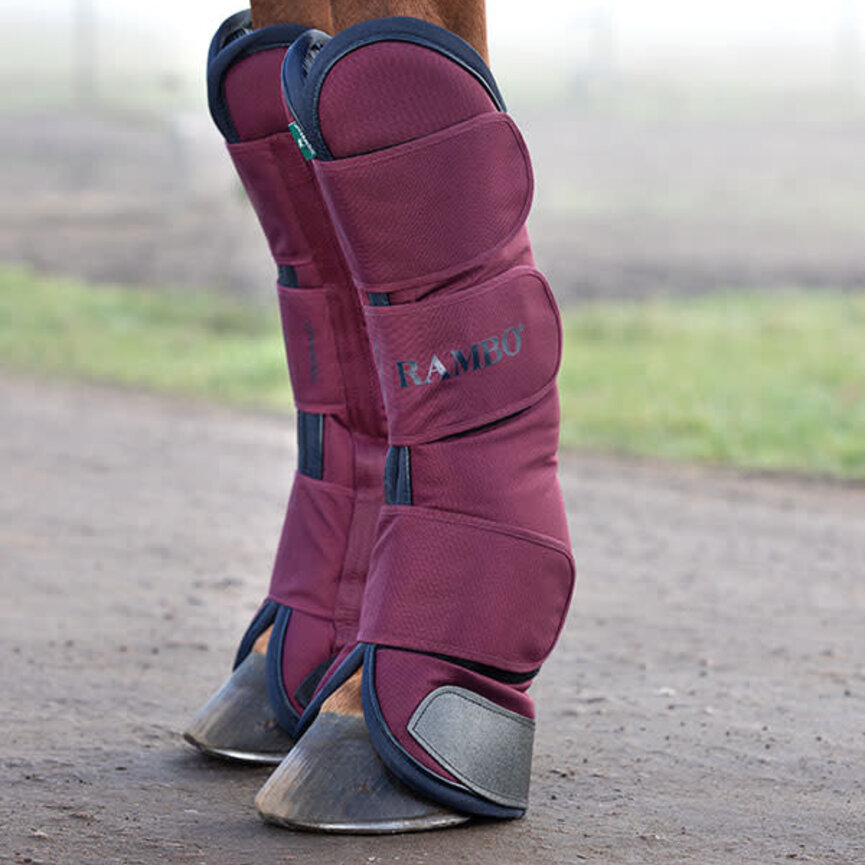 TRAVEL BOOTS