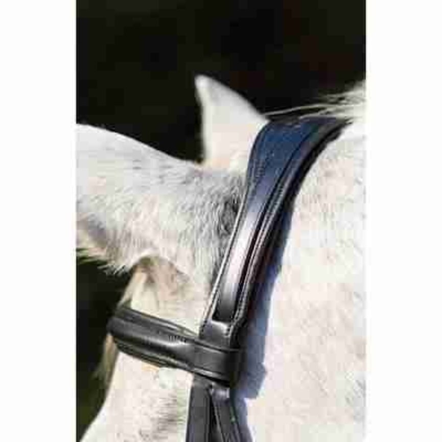 LOUISVILLE BRIDLE