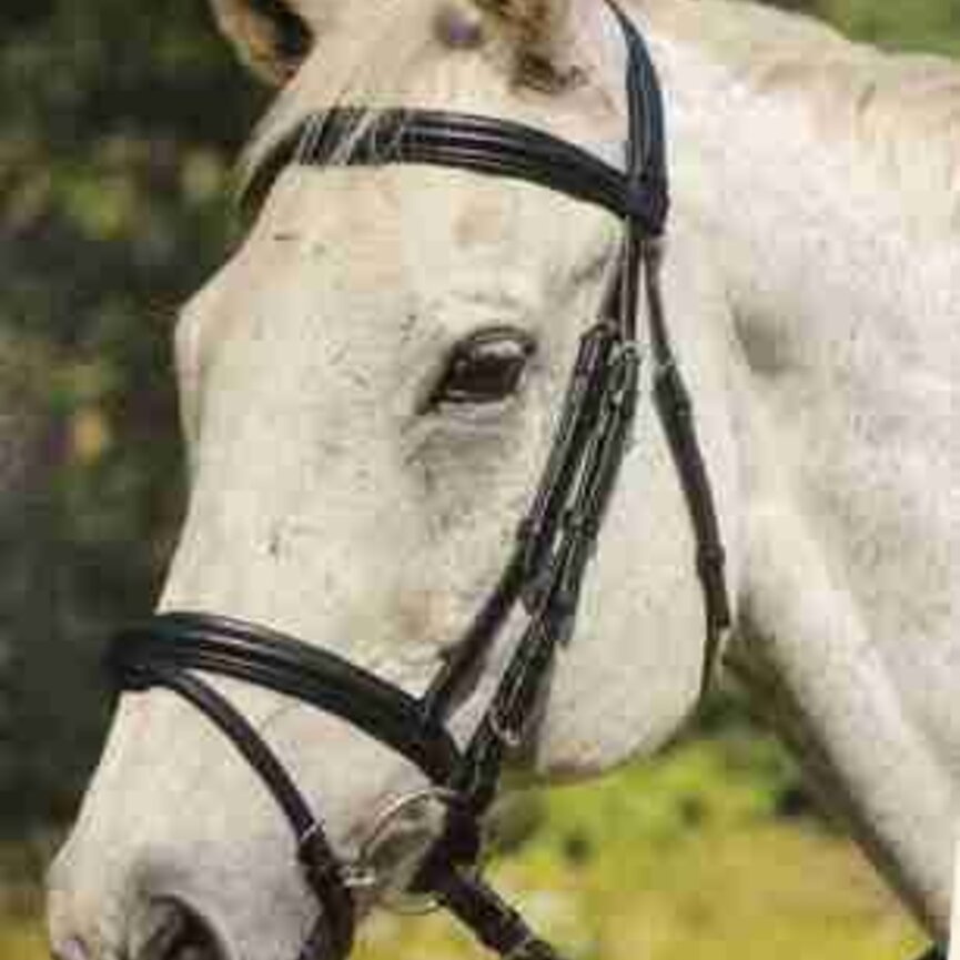 LOUISVILLE BRIDLE
