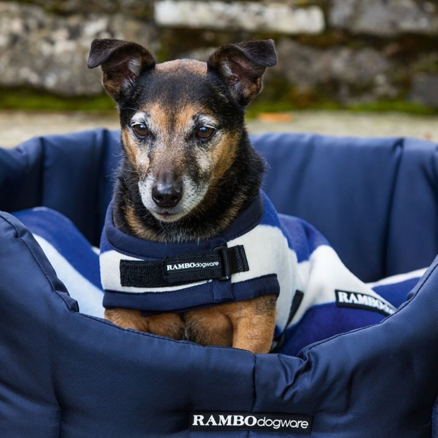 RAMBO Deluxe Dog Coat No Fill