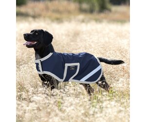Amigo Ripstop Waterproof Dog Coat 100g Light Equine Essentials Tack Laundry Services