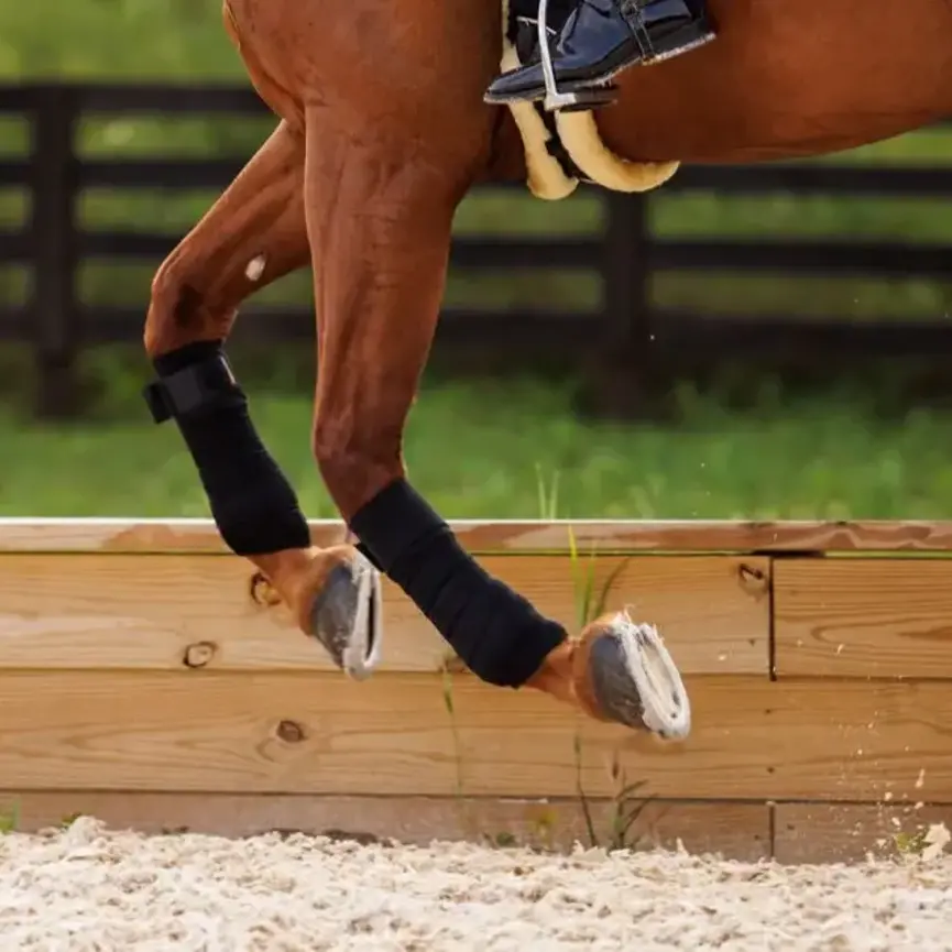 SoftSupport Polos