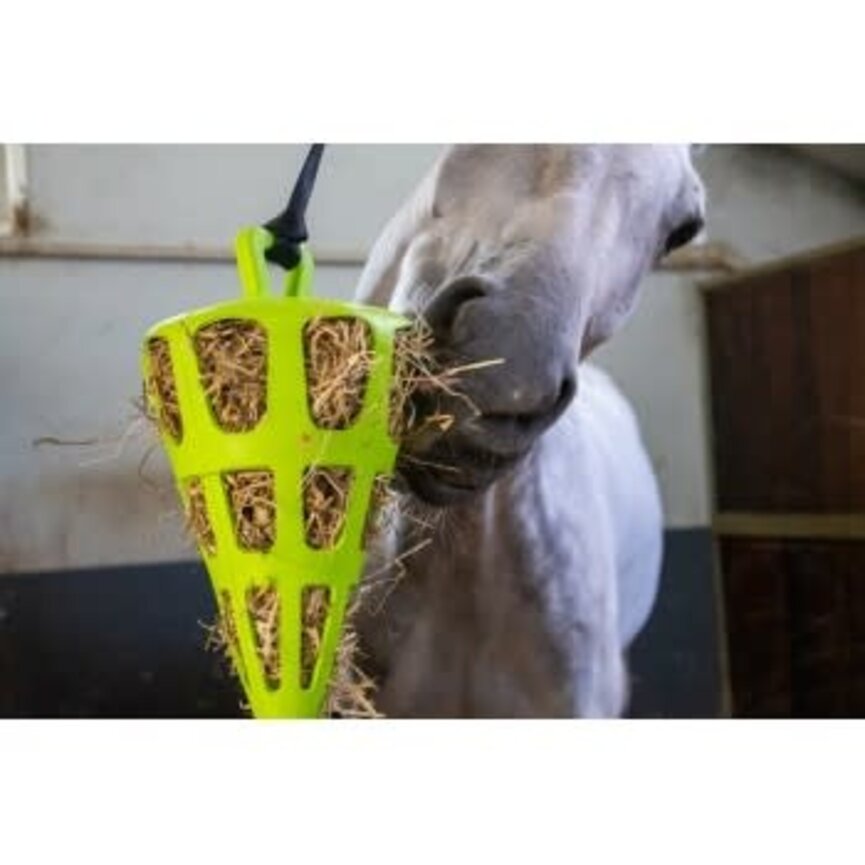 SLOW HAY FEEDER FUN & FLEX CARROT