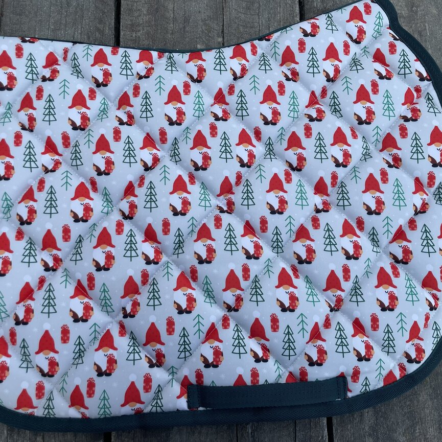 DREAMERS & SCHEMERS SADDLE PAD