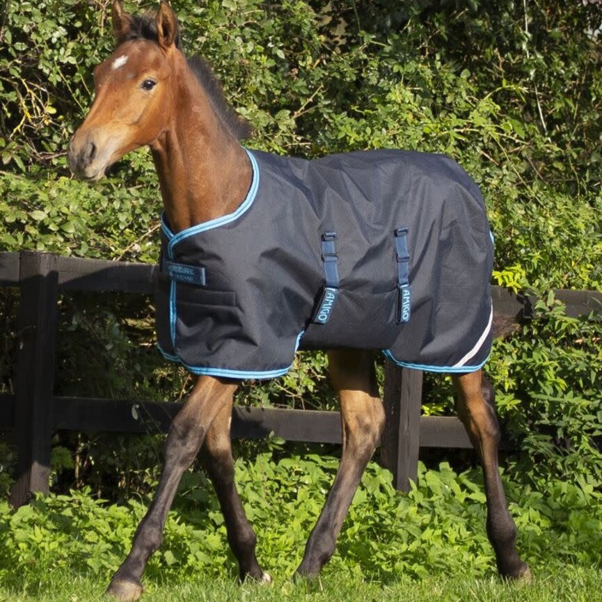 Ripstop Foal Turnout (200g Medium)
