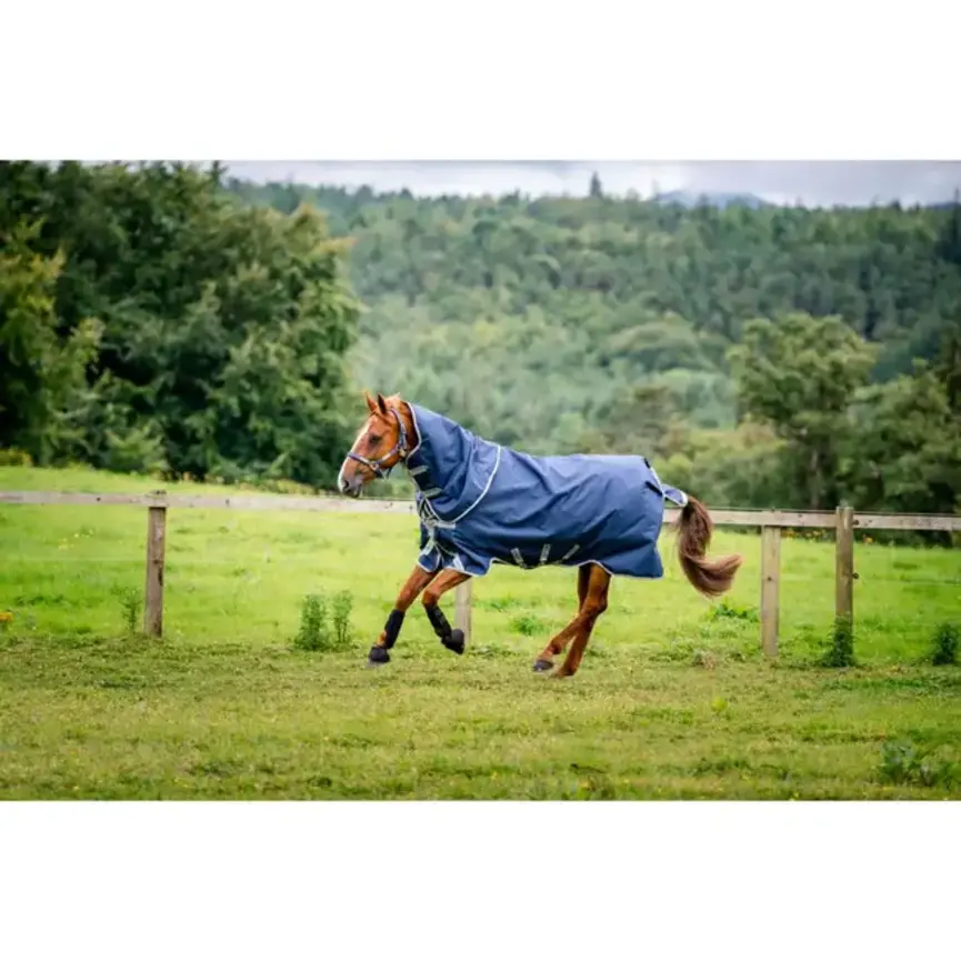 BRAVO 12 PLUS (400 G HEAVY) PONY