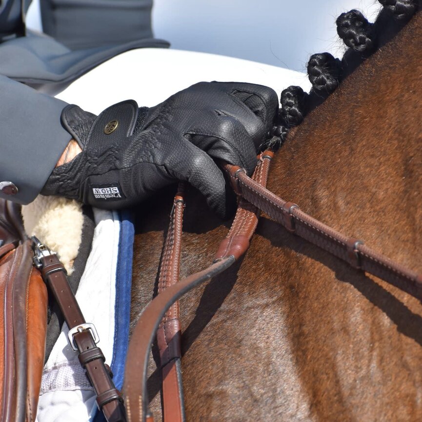 WINTER GLOVE