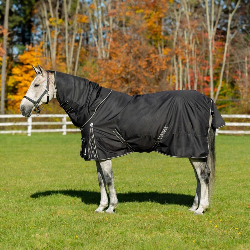 Norse Turnout Neck Cover No Fill