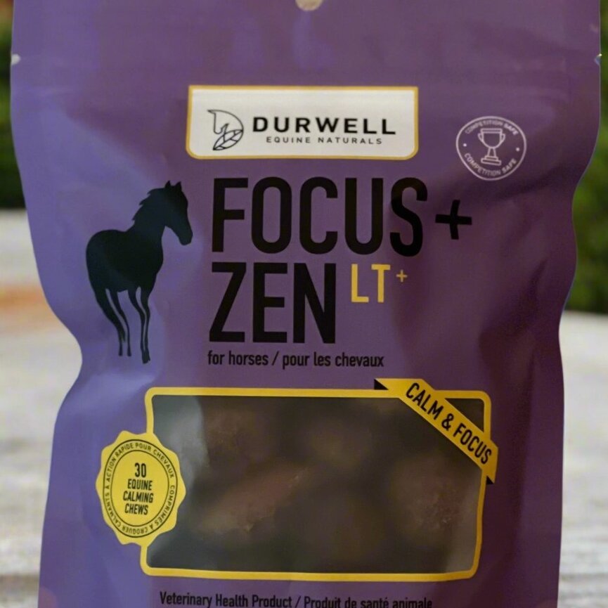 FOCUS + ZEN LT