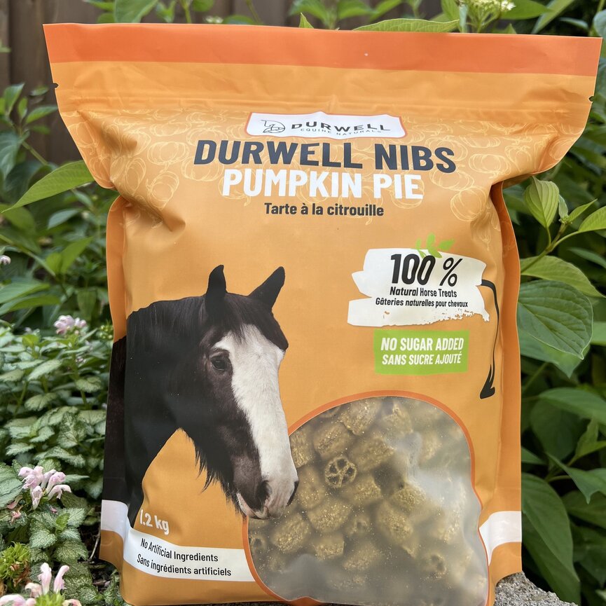 Nibs Horse Treats: Pumpkin Pie (no sugar added)