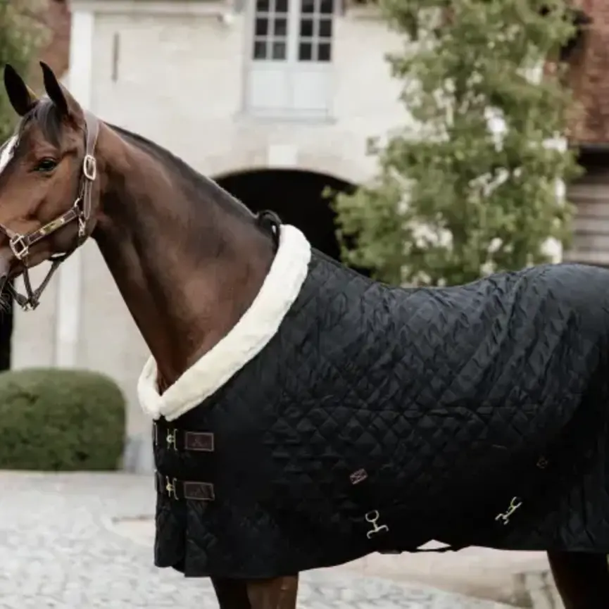 SHOW RUG 160GM