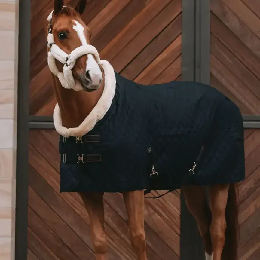 SHOW RUG 160GM