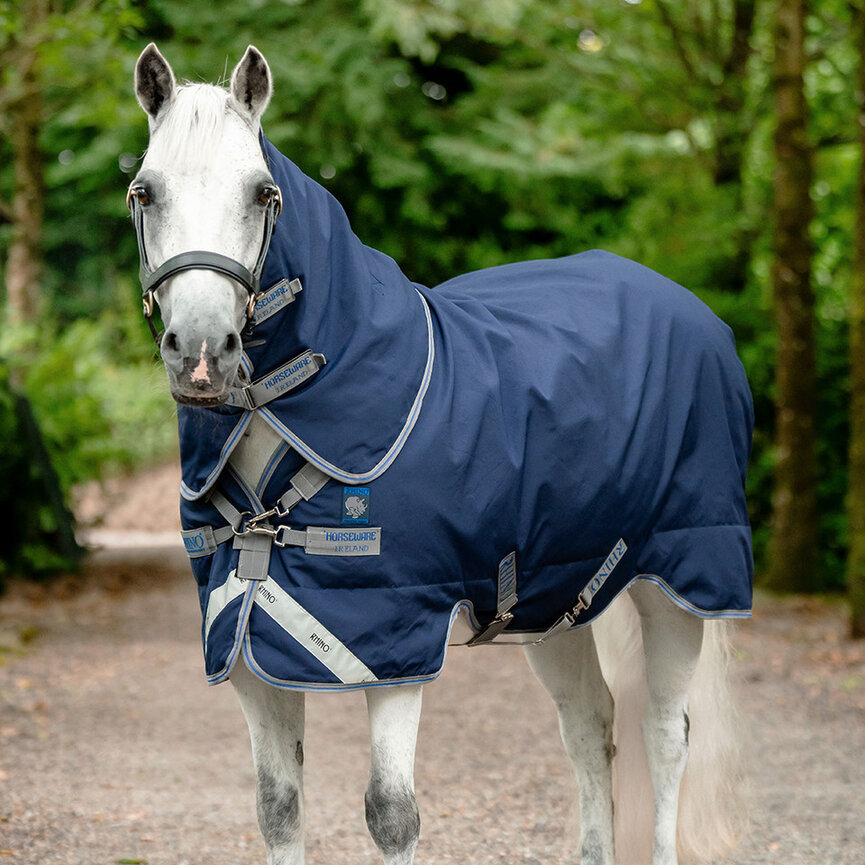 Plus Pony (200g Medium)