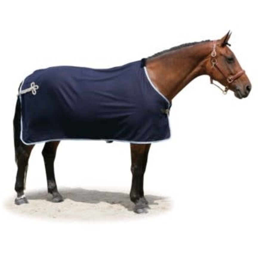 REMINGTON WOOL DRESS SHEET