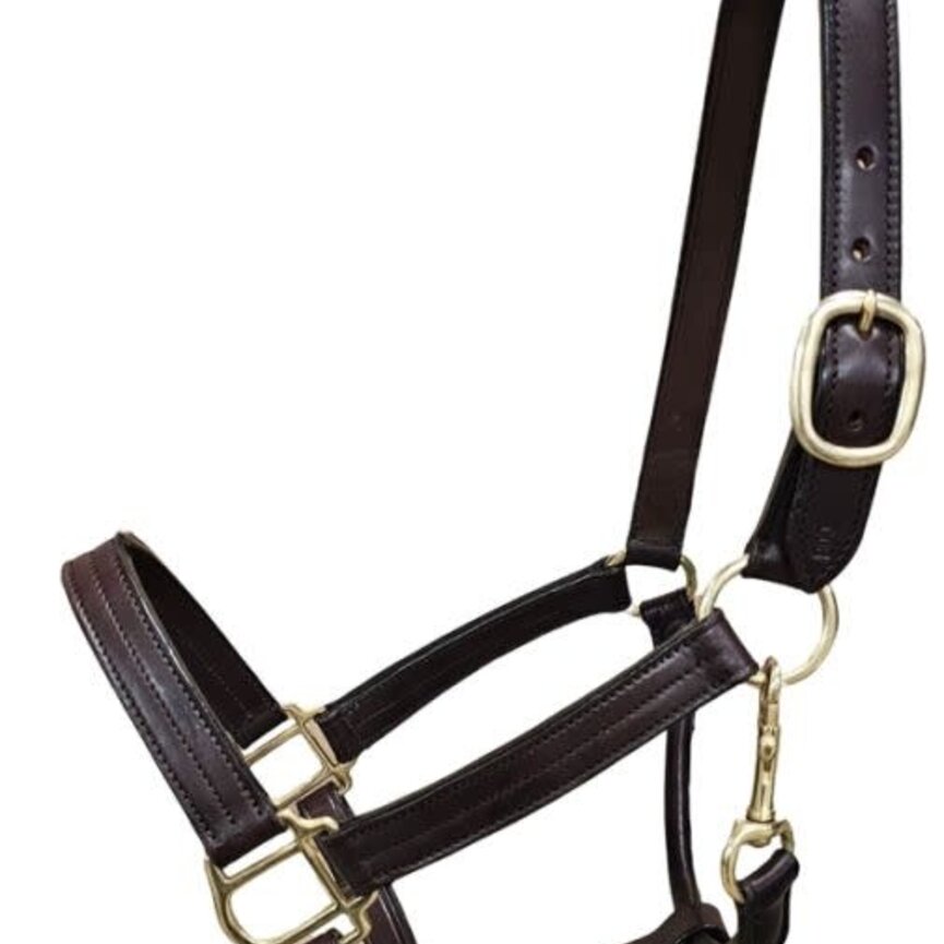 Bromont Premium Leather Halter