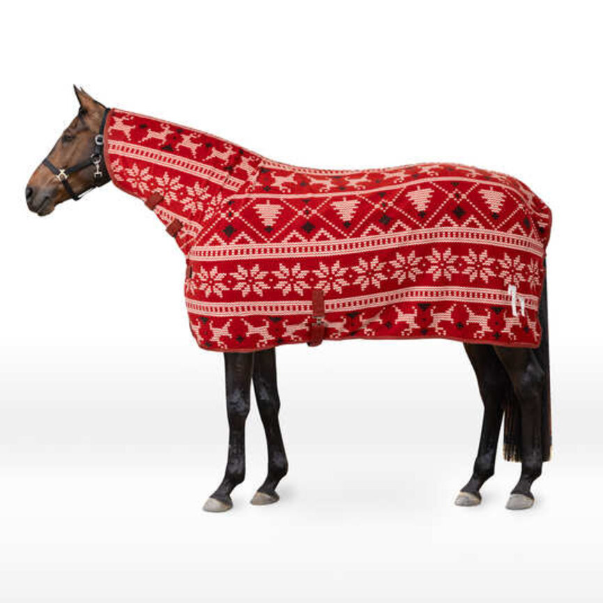 Christmas Horse Sweater