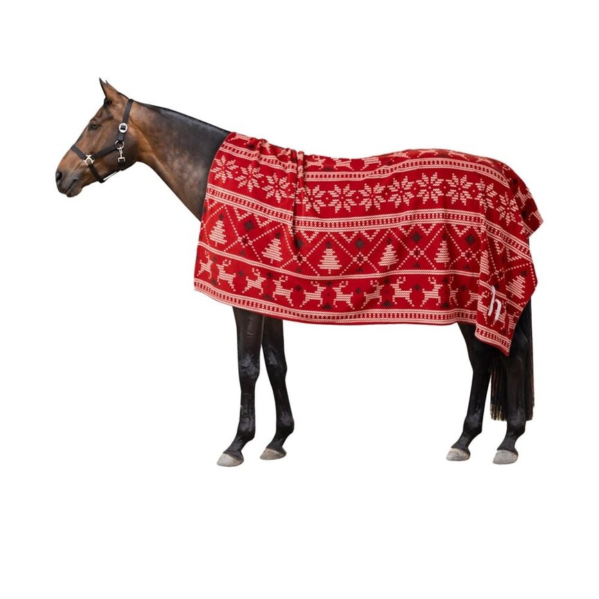 Santa Christmas Throw Blanket - Red