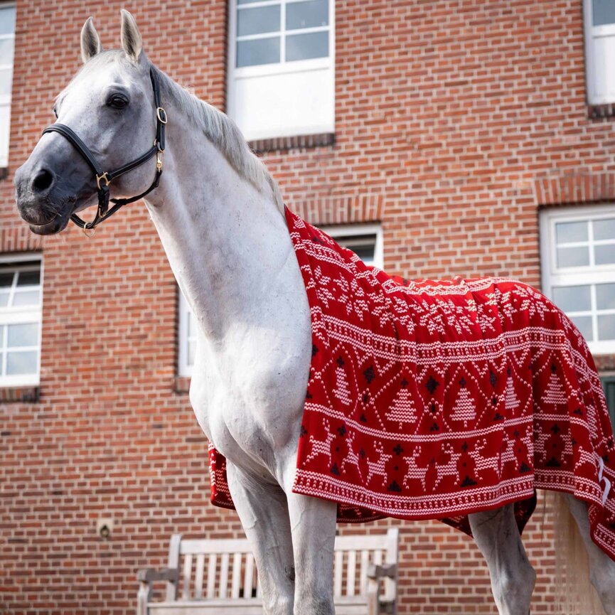 Santa Christmas Throw Blanket - Red