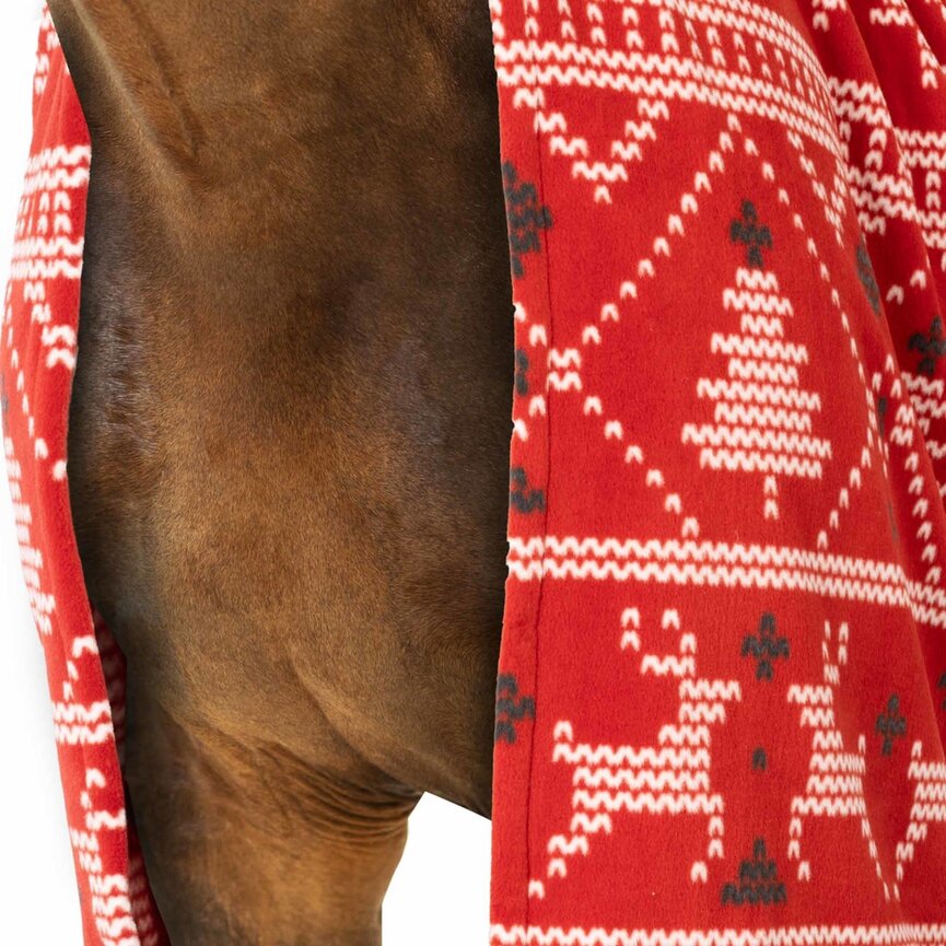 Santa Christmas Throw Blanket - Red