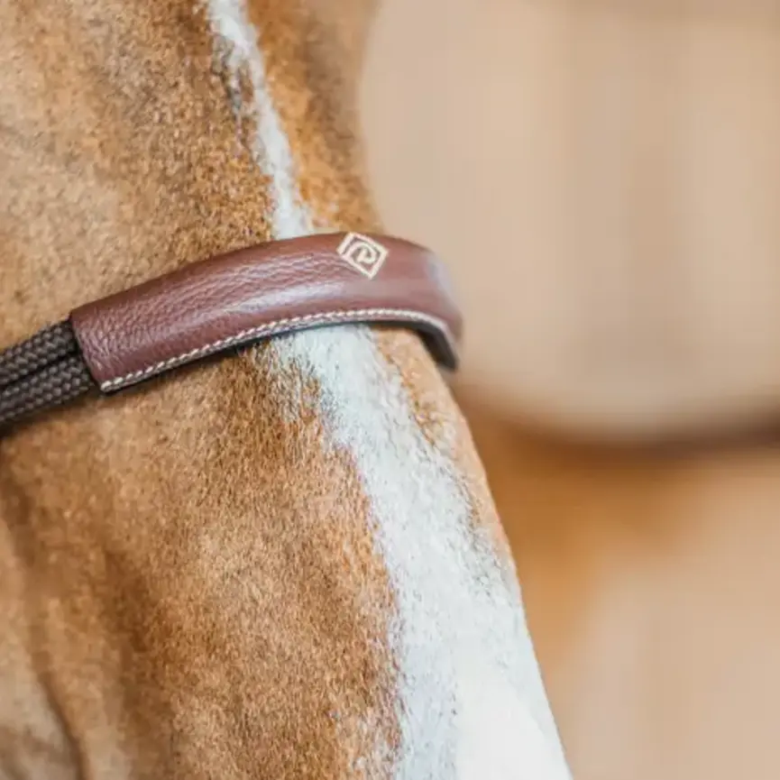 BITLESS BRIDLE