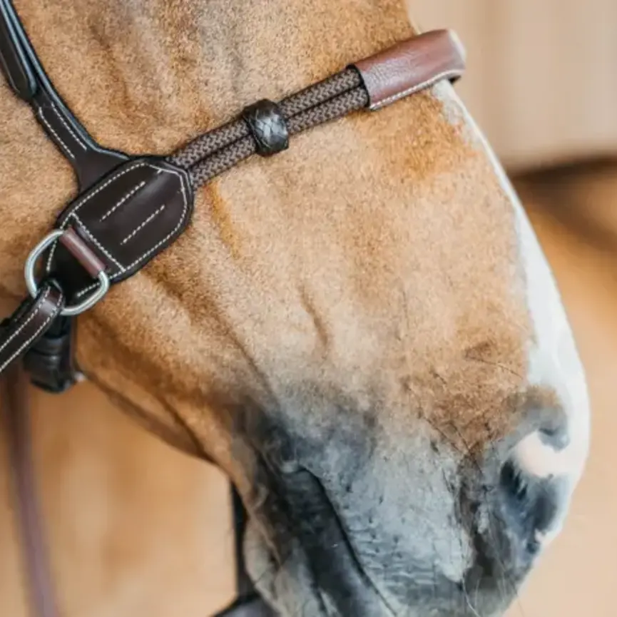 BITLESS BRIDLE