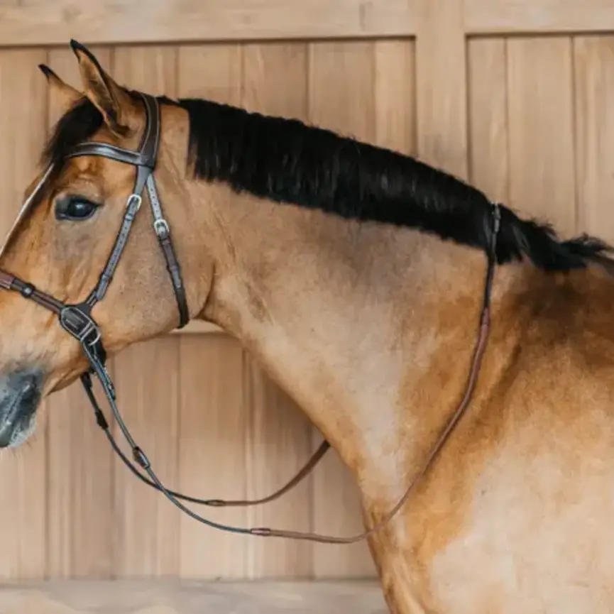 BITLESS BRIDLE