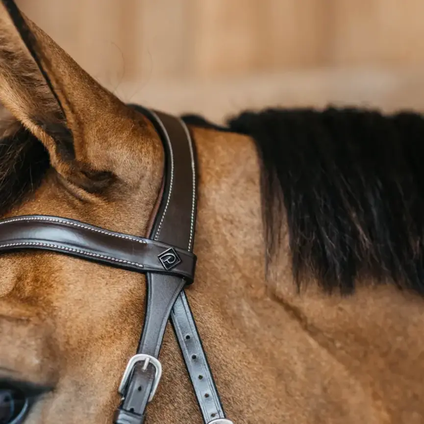 BITLESS BRIDLE