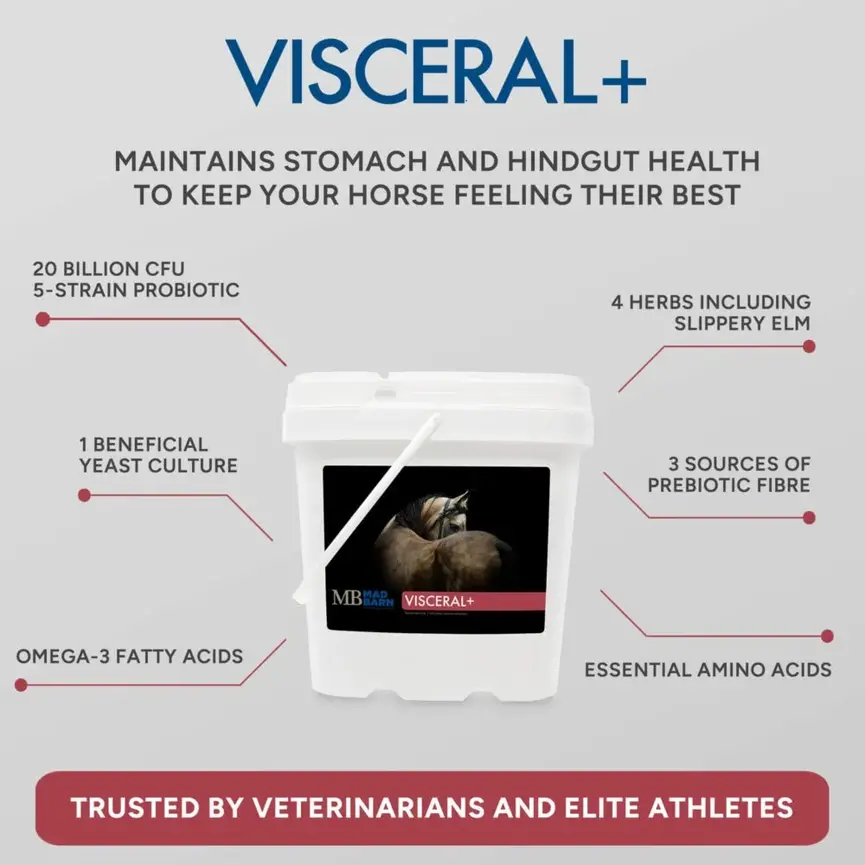 Visceral+