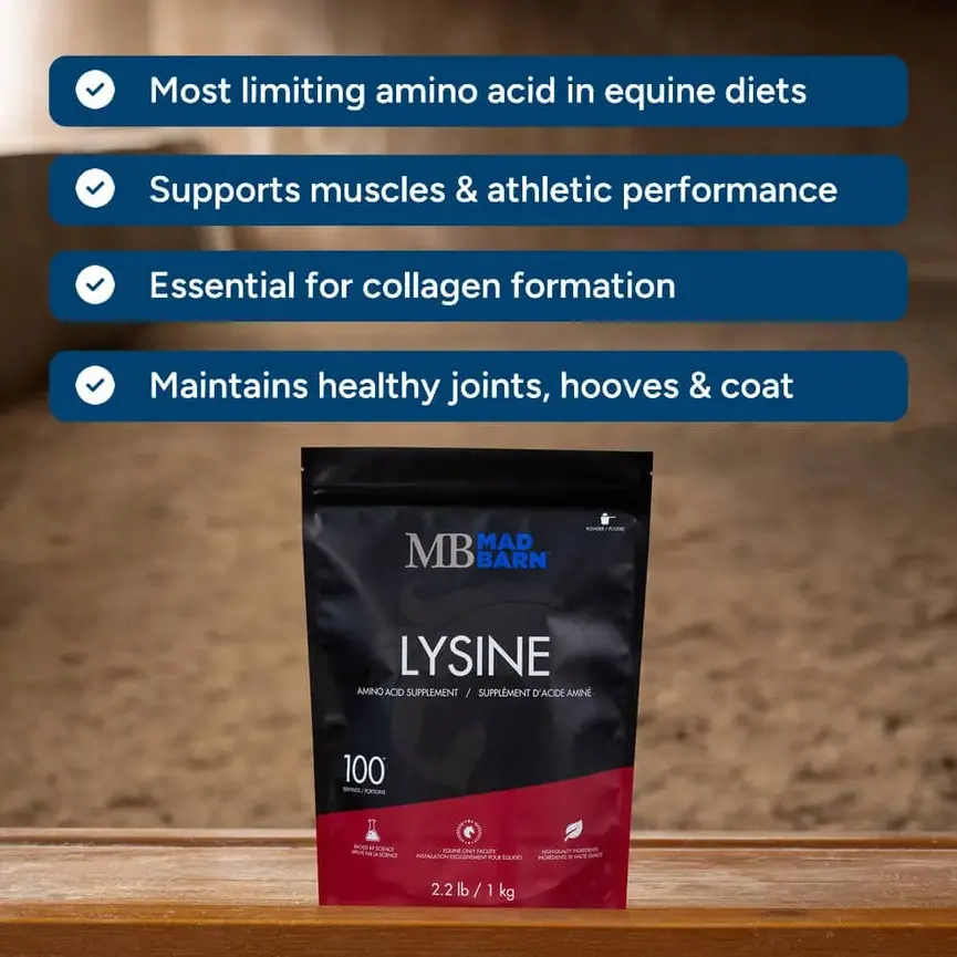 L-Lysine