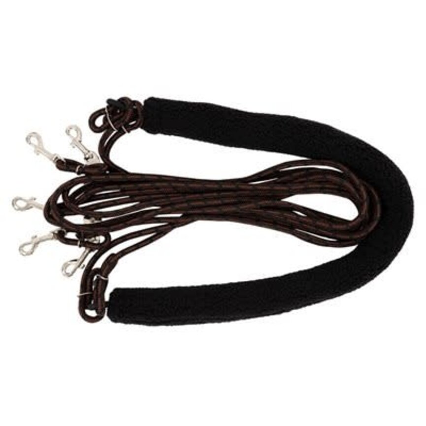 Pessoa Lunging Aid