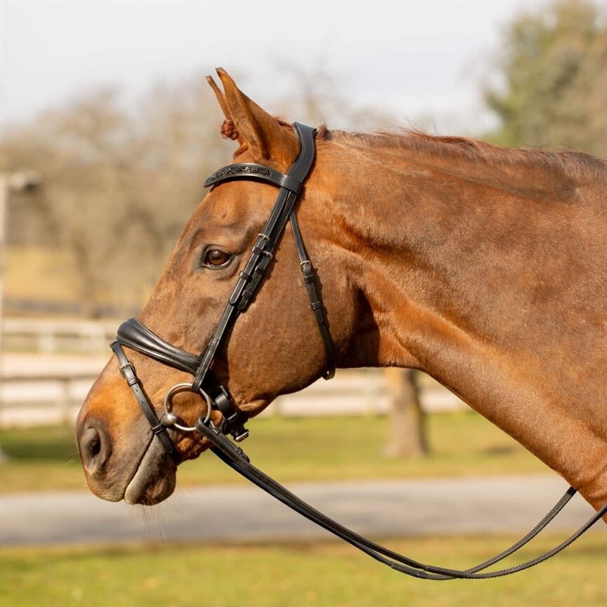 Valkyrie Anatomic Dressage Bridle with Rubber Reins - Black