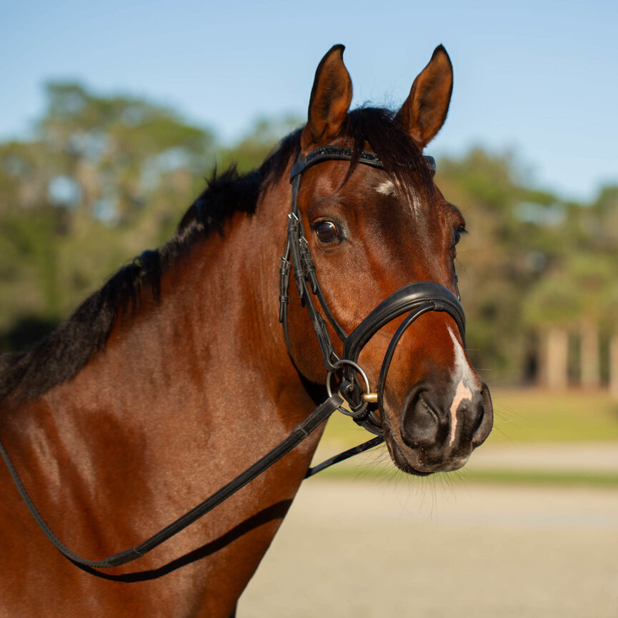 Valkyrie Anatomic Dressage Bridle with Rubber Reins - Black