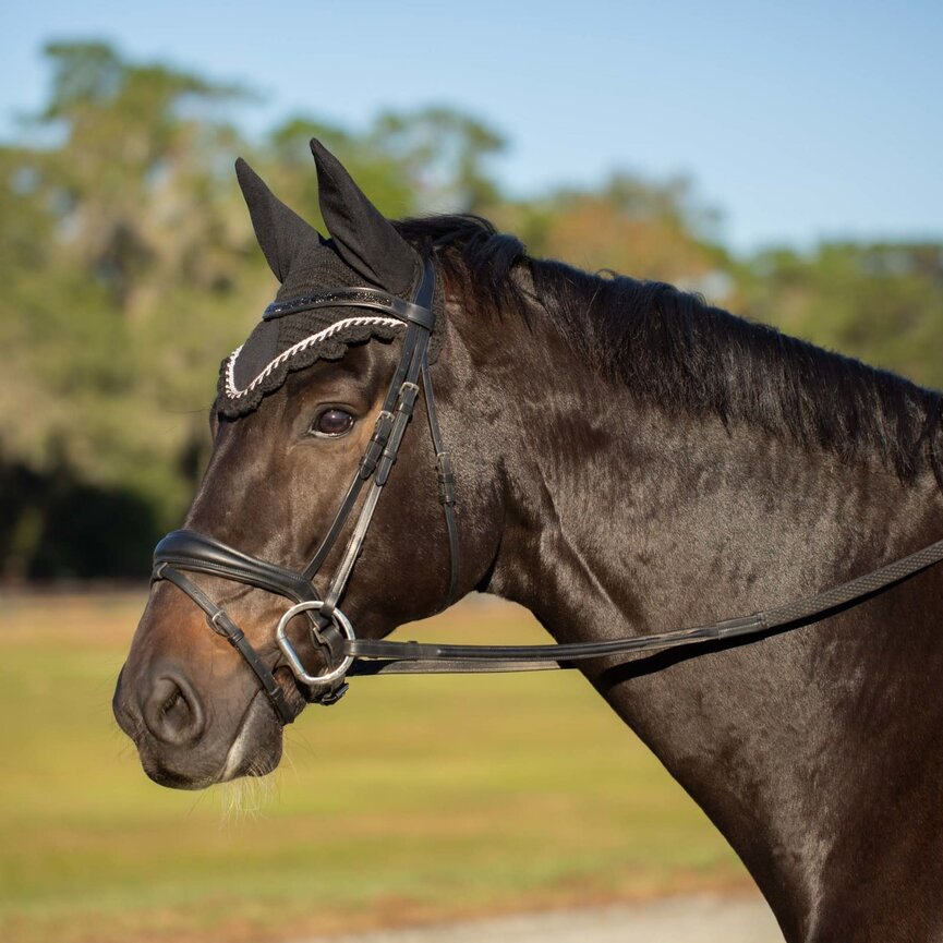 Valkyrie Anatomic Dressage Bridle with Rubber Reins - Black