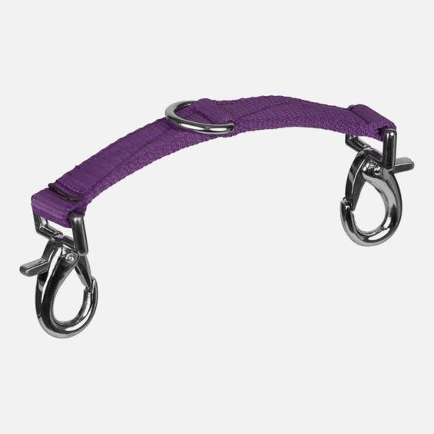 LUNGING ATTACHMENT