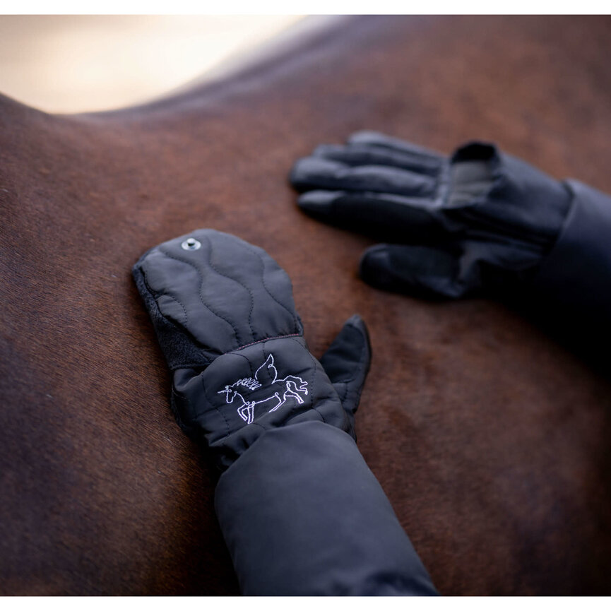 Noa Kids Fleece Lined 3 Finger Winter Gloves - Caviar