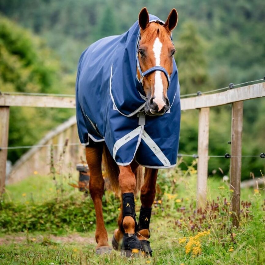 Bravo 12 Plus Pony Turnout (250g Medium)