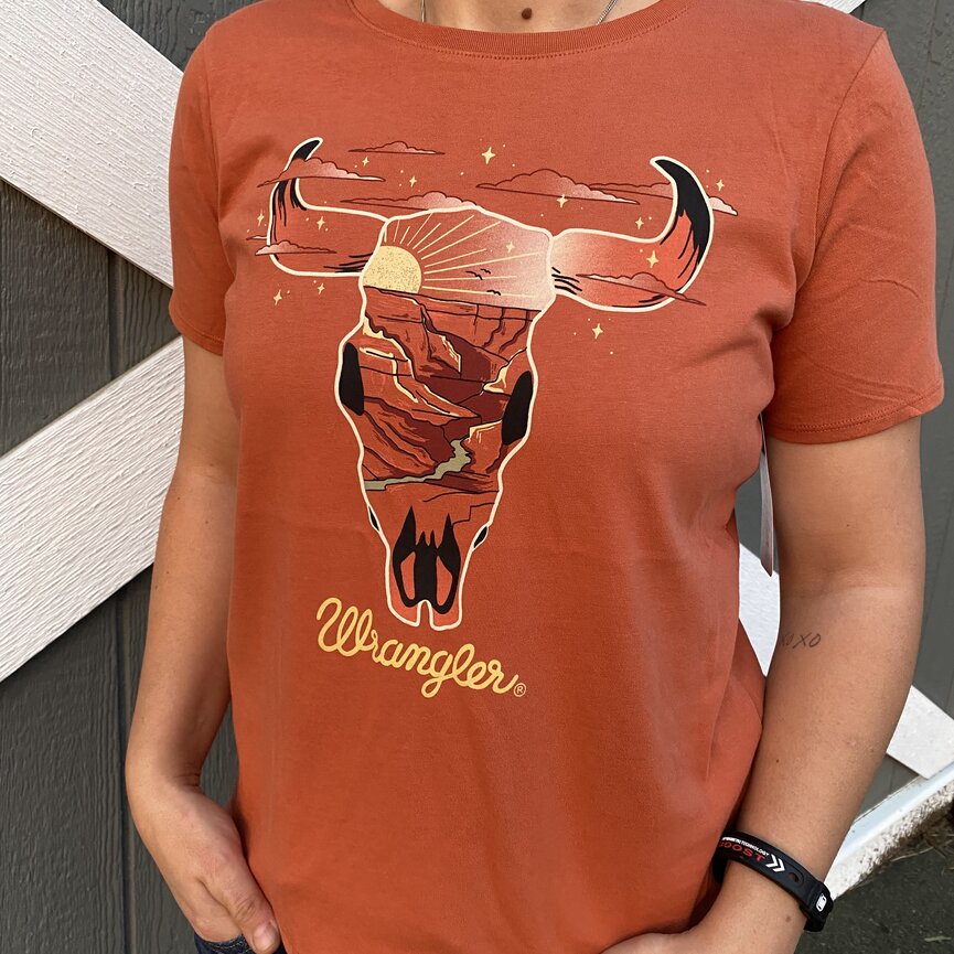 KID'S SHORT SLEEVE BULL GRAPHIC SHIRT IN RUST