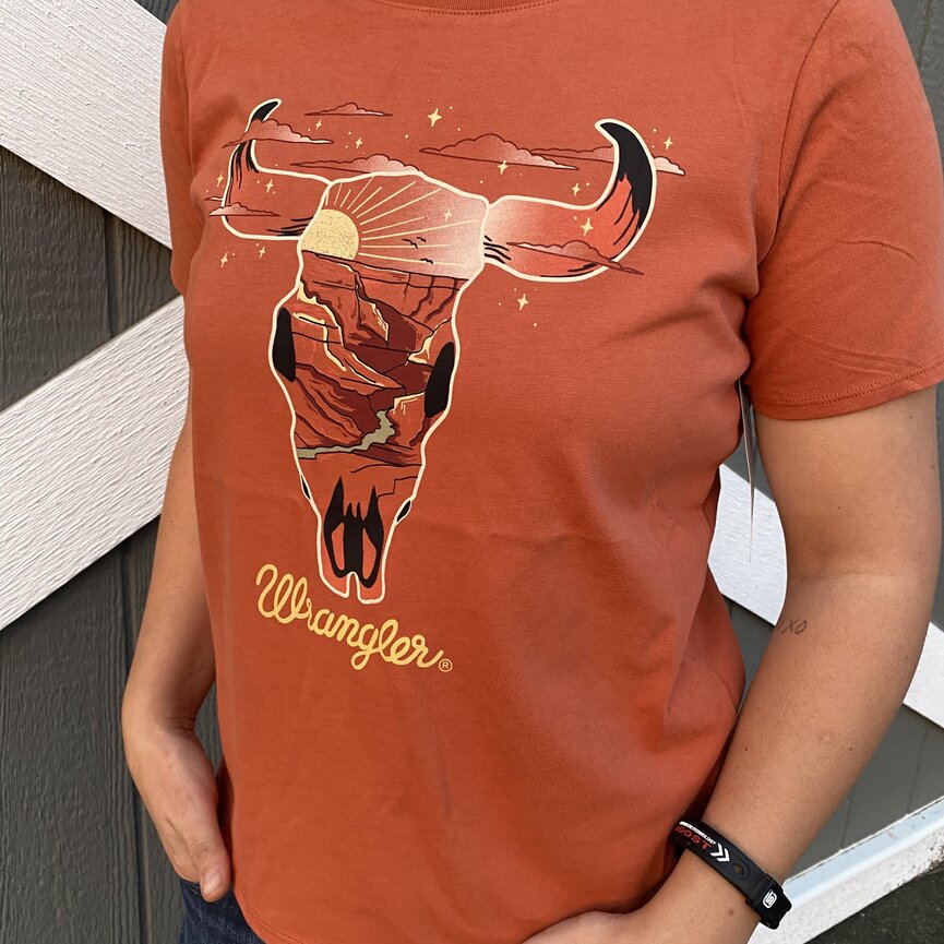 KID'S SHORT SLEEVE BULL GRAPHIC SHIRT IN RUST