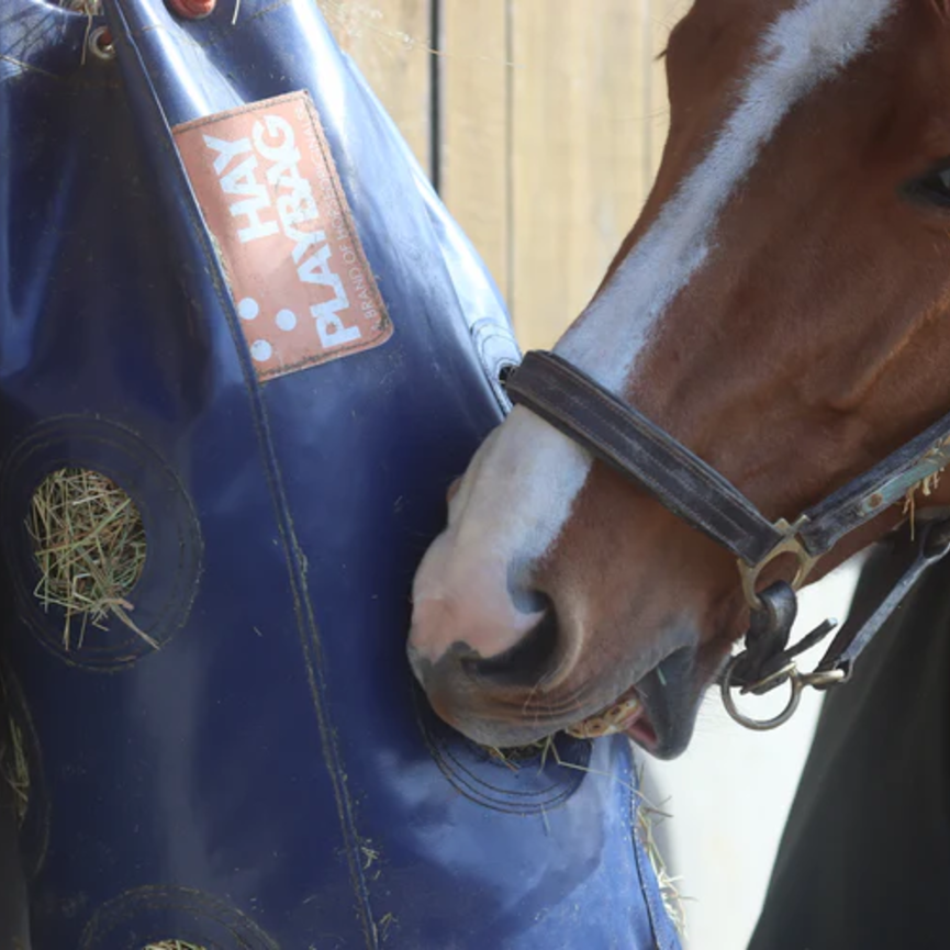 Hay Play Slow Feed Tie Bag