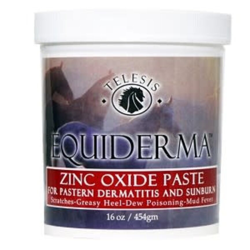 EquiDerma Zinc Paste - 16 oz