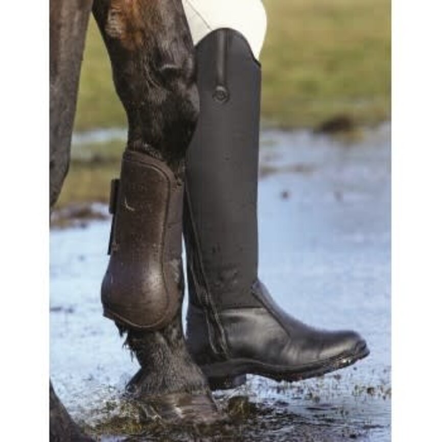 ACTIVE WINTER HIGHRIDER