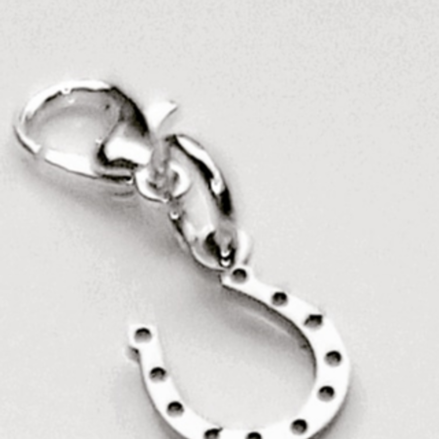 BRIDLE CHARM