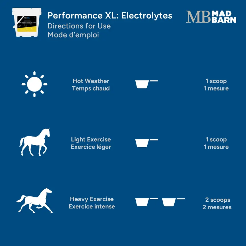 Performance XL: Electrolytes