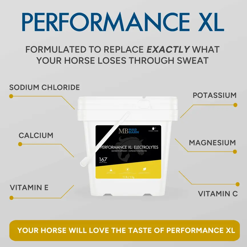 Performance XL: Electrolytes