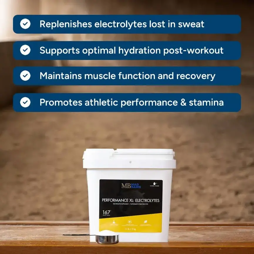Performance XL: Electrolytes