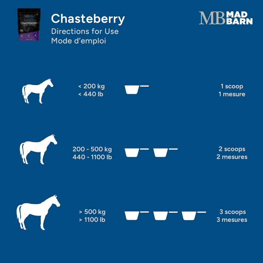 Chasteberry