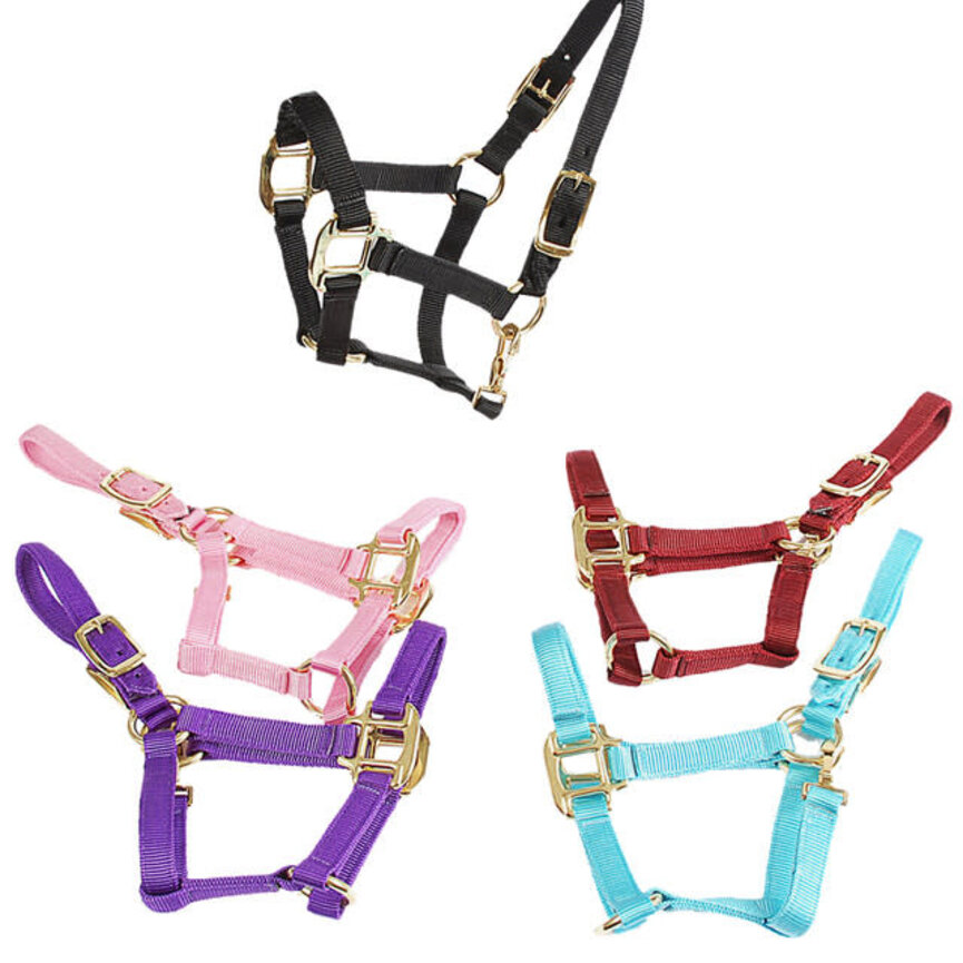 Deluxe Mini Halter