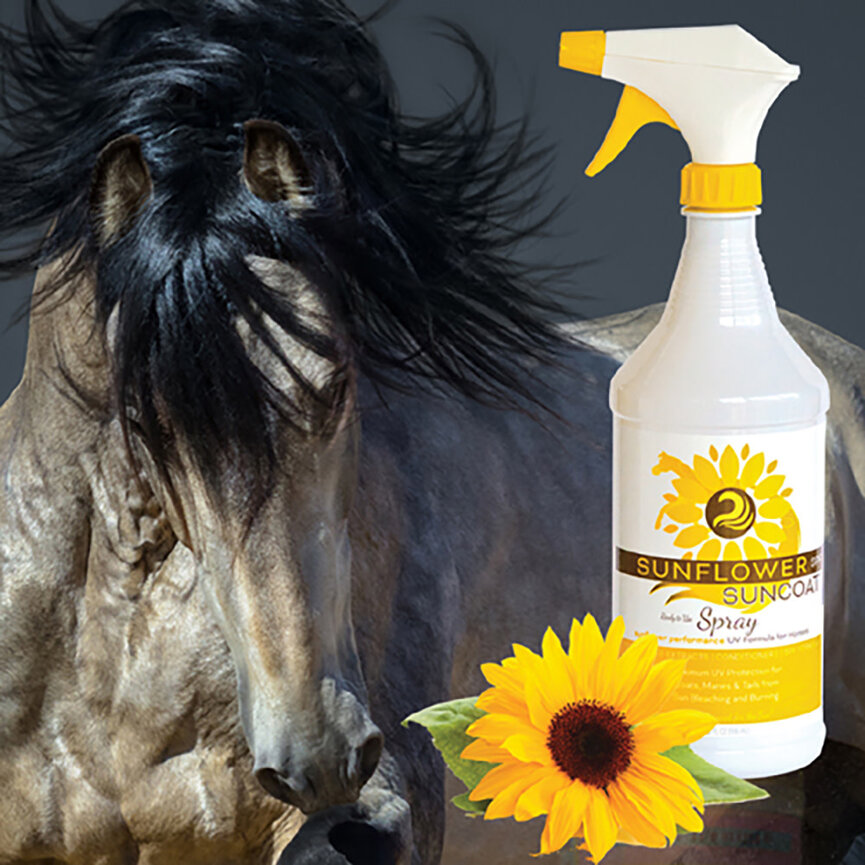 SUNFLOWER SUNCOAT 32 OZ
